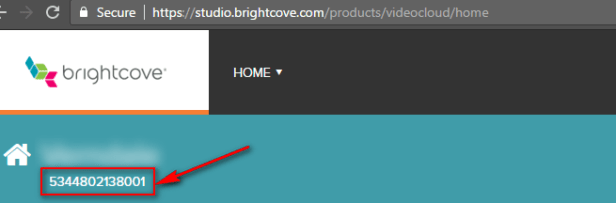 brightcove-account-1