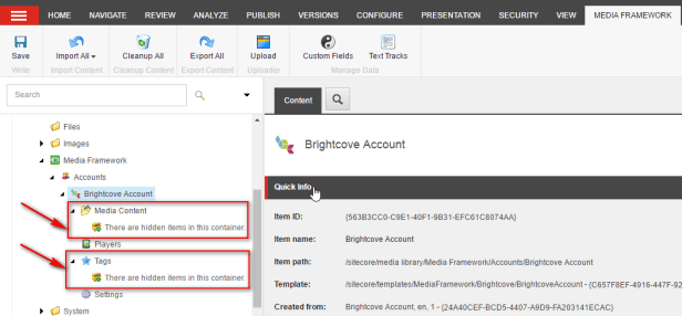 brightcove-account-10