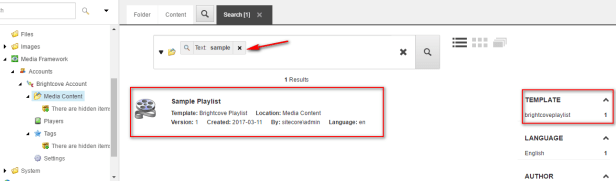 brightcove-account-11