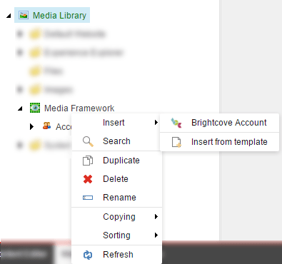 brightcove-account-7